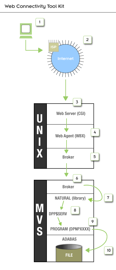 The steps detailing how a user accesses a database record from the Internet